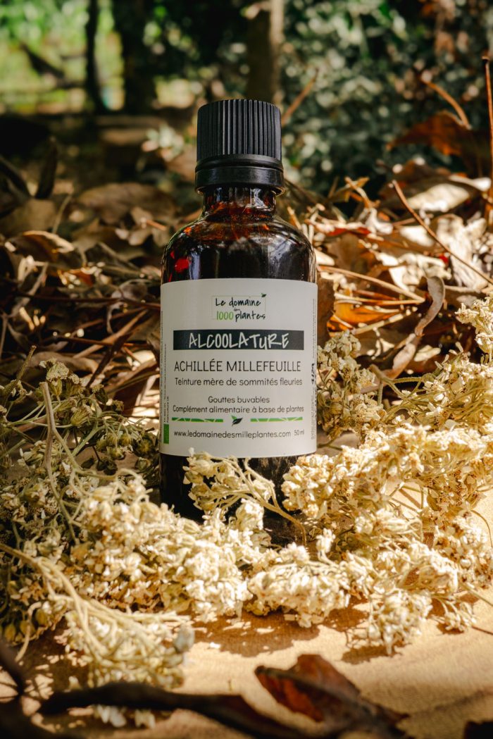 Alcoolature Bio Achillée millefeuille