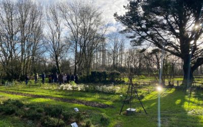 Des nouvelles parcelles