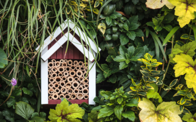 Les auxiliaires du jardin