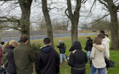 Les animations sur-mesure