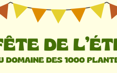 Fête de l’été – dimanche 22 juin