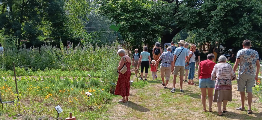 Retour sur la fête de l’été