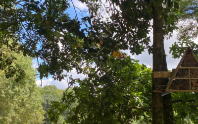 Les abris à insectes