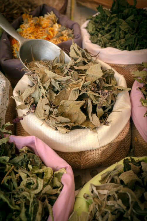 Basilic cannelle