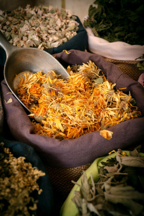 Calendula officinal