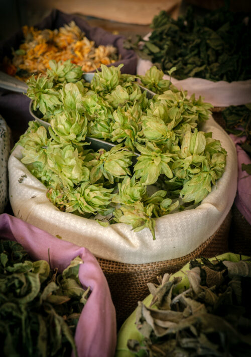 Houblon