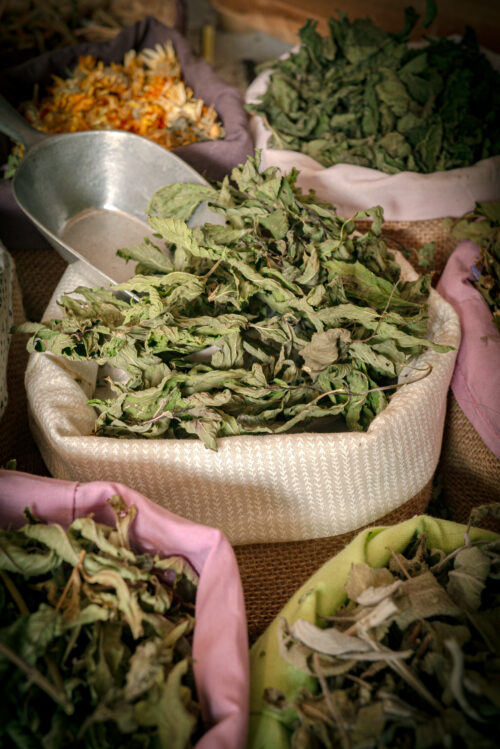Menthe poivrée