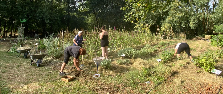 L’irrigation au goutte-à-goutte