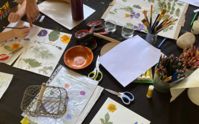 Créer un herbier avec les enfants