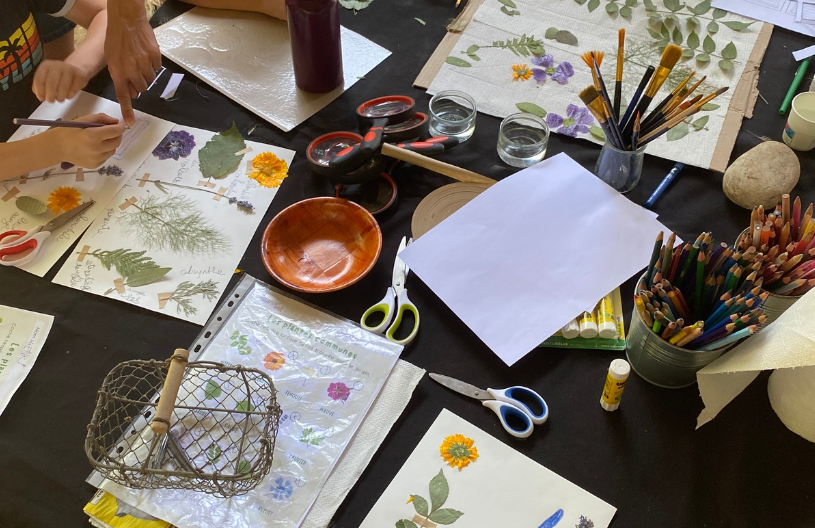 Créer un herbier avec les enfants