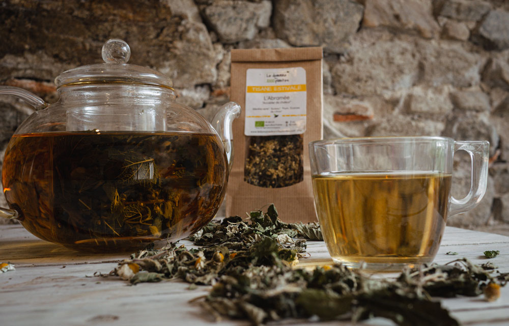 L'Abramée – Image 2