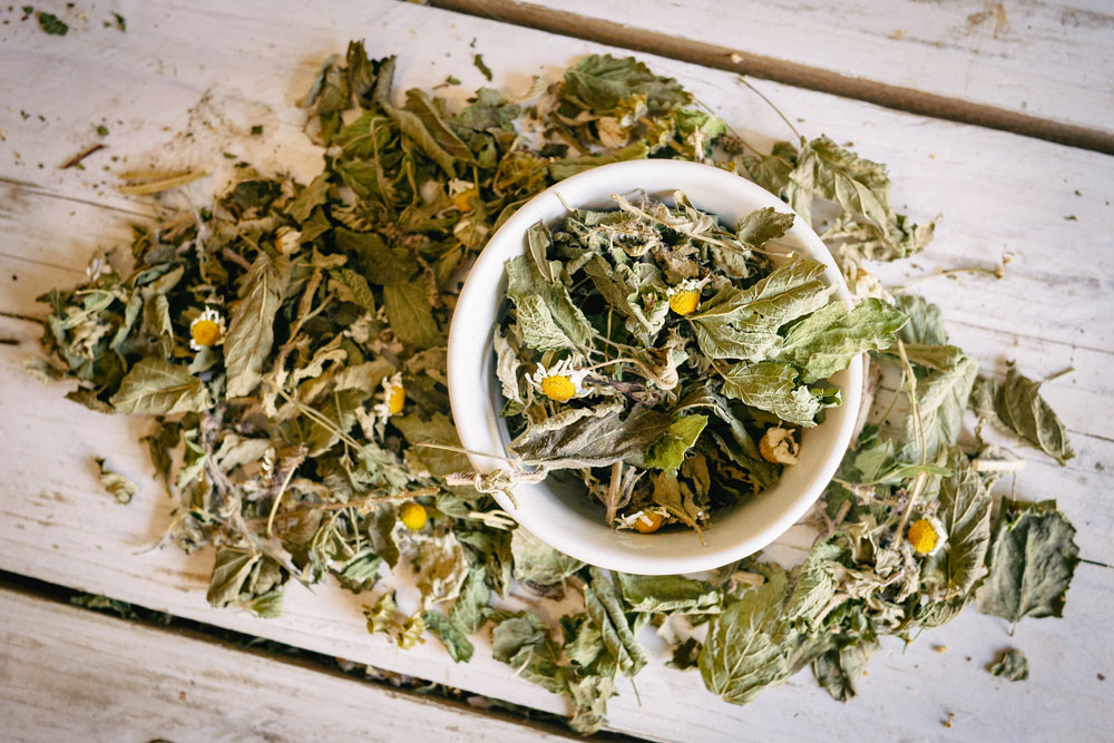 L'Asteur – Image 3