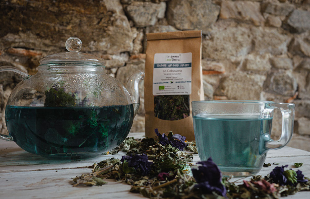 La Cabourne – Image 3