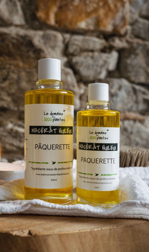 Macérat huileux de Pâquerette