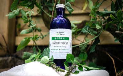 Découvrez nos nouveaux hydrolats