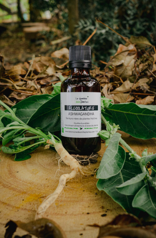 Alcoolature Bio Ashwagandha