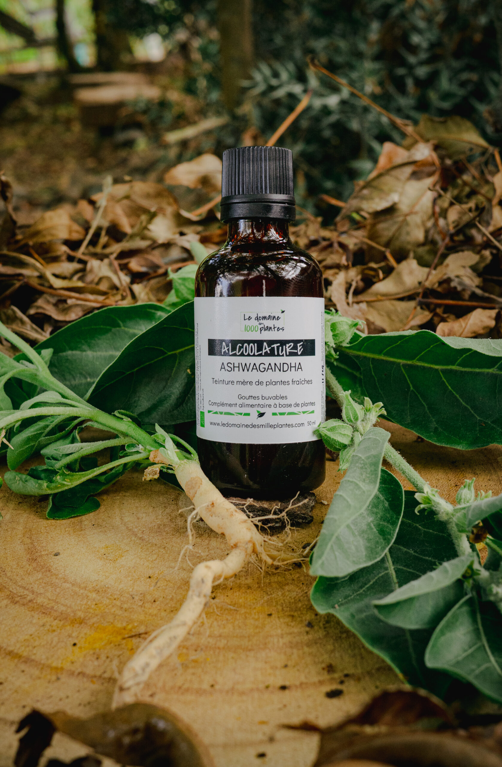 Alcoolature Bio Ashwagandha