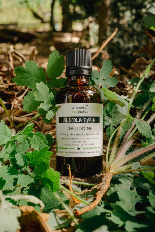 Alcoolature Bio Chélidoine