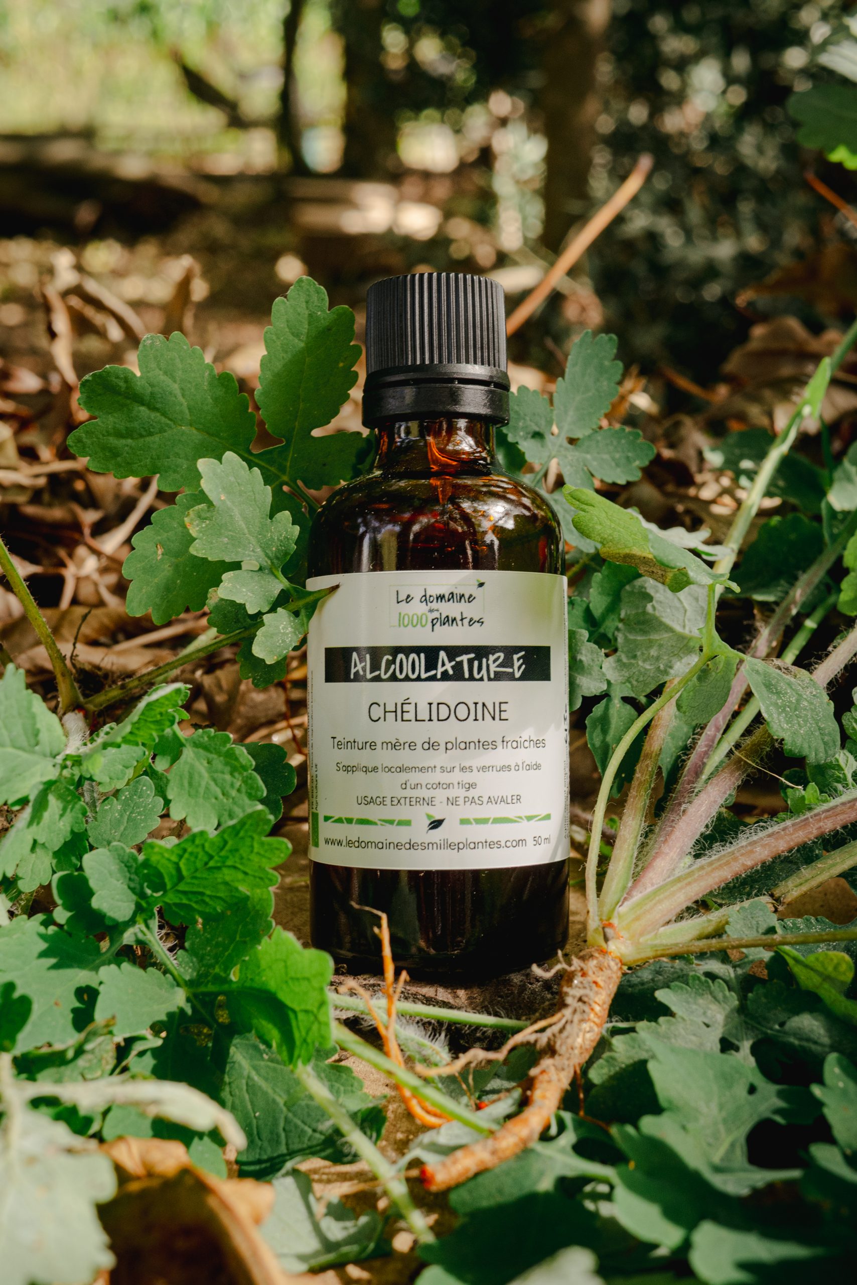 Alcoolature Bio Chélidoine