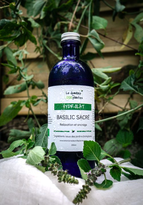 Hydrolat de Basilic sacré