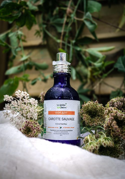 Hydrolat de Carotte sauvage