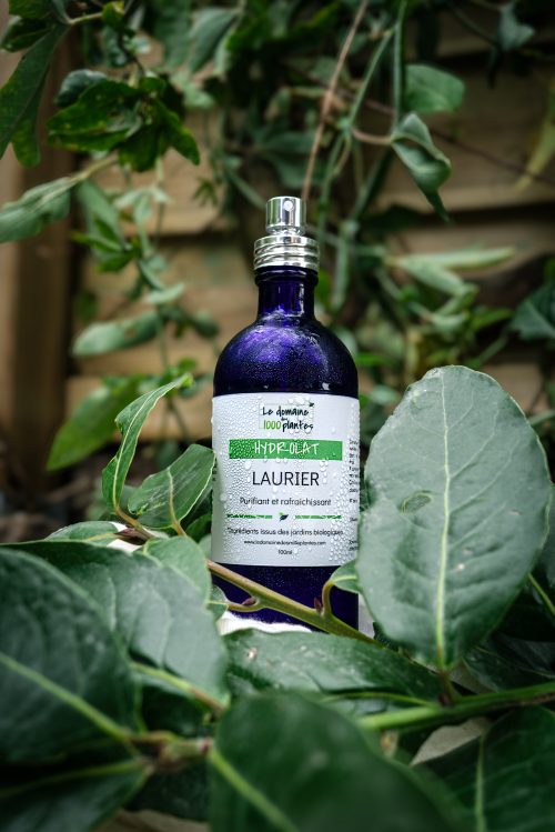 Hydrolat de Laurier noble