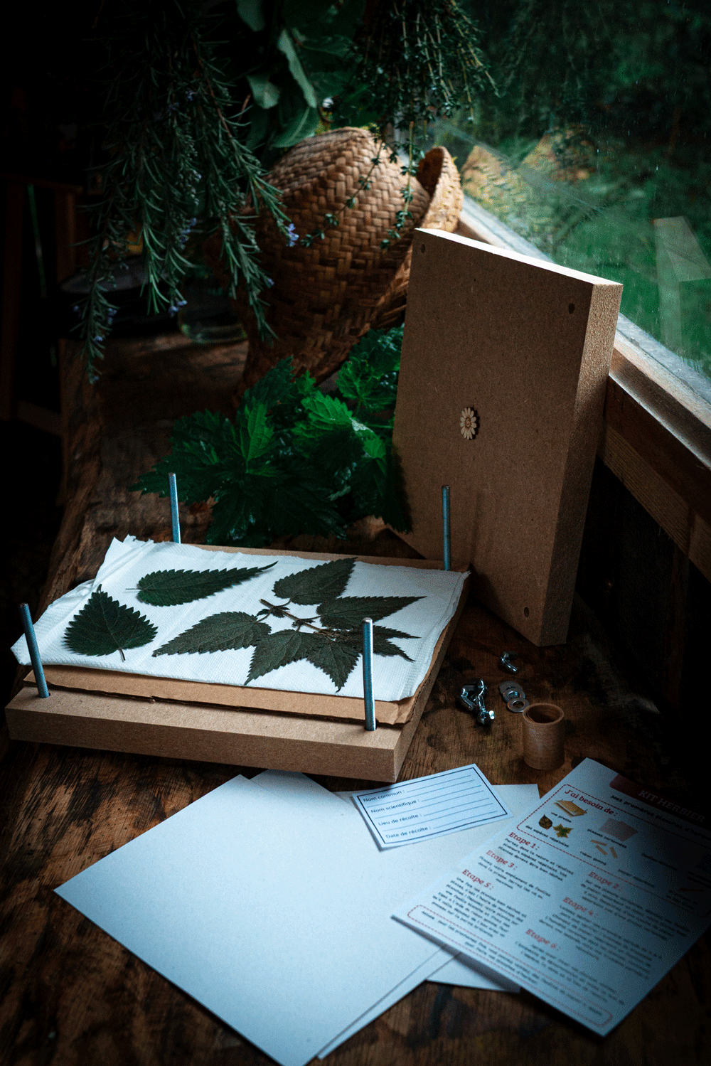 Kit herbier avec presse à fleurs