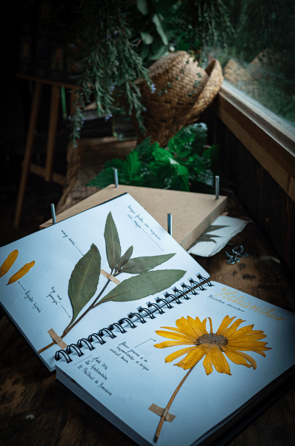 Kit herbier avec presse à fleurs – Image 2