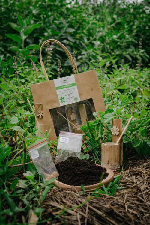 Kit plantation
