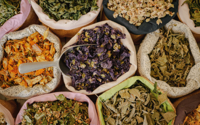 Tisane, infusion ou décoction ?