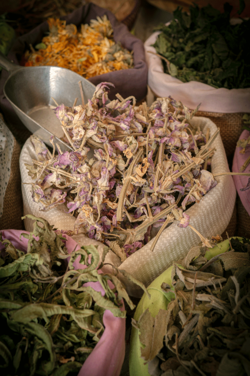 Sauge officinale
