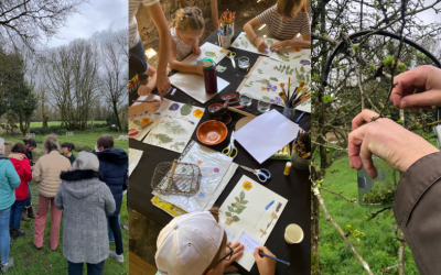 Programme des animations 2026