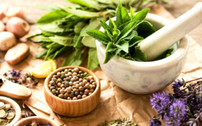 Les vinaigres médicinaux