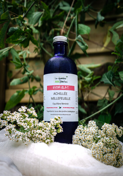 Hydrolat d'Achillée millefeuille